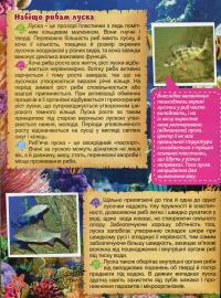 Підводний світ. Дитяча енциклопедія (Блакитна) — Юлія Карпенко #13
