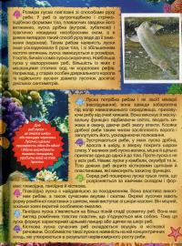 Підводний світ. Дитяча енциклопедія (Блакитна) — Юлія Карпенко #14