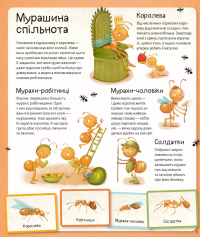 Світ мурах — Степанка Секанінова #6