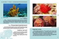 Комахи та інші #6