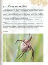 Комахи та інші #12