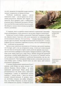 Тварини-винахідники і будівельники — Андрій Гапченко #9