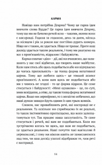 Смуток, любов, відкритість. Буддійський шлях радості — Чок'ї Ньіма Рінпоче #10