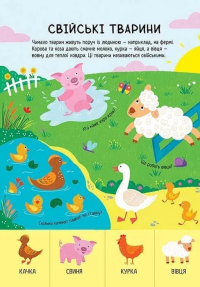 Головна книга малюка. Книга найважливіших знань — Альона Пуляєва #9
