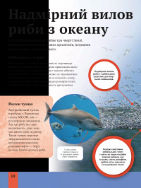 Дитяча енциклопедія довкілля — Хелен Дуайєр,Алекс Вулф,Рейчел Тільсдейл #10