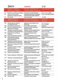 Графіка української мови. Рутенія — Василь Чебаник,Анжеліка Корнієнко,Аліна фон Ерцен-Глєрон #4
