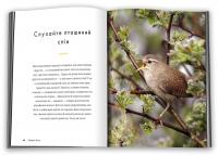 Шінрін-йоку. Цілюще мистецтво лісотерапії — Олівер Люк Делорі #5
