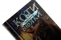 Коти - вояки. Знамення Зореклану. Книга 3. Нічні голоси — Ерін Гантер #4