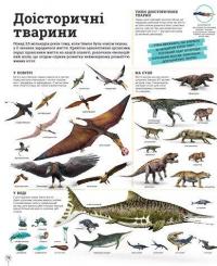 Дивипедія #13