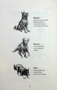 Зграя. Затемнення. Книга 1. Розділена зграя — Ерін Гантер #4
