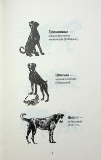 Зграя. Затемнення. Книга 1. Розділена зграя — Ерін Гантер #5