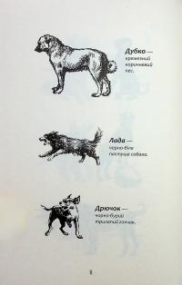 Зграя. Затемнення. Книга 1. Розділена зграя — Ерін Гантер #6