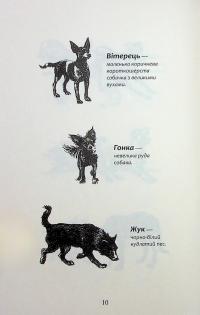 Зграя. Затемнення. Книга 1. Розділена зграя — Ерін Гантер #8