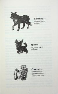 Зграя. Затемнення. Книга 1. Розділена зграя — Ерін Гантер #9