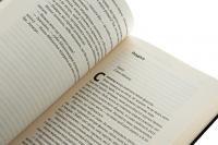 Бібліотека спалених книг — Бріанна Лабускес #5