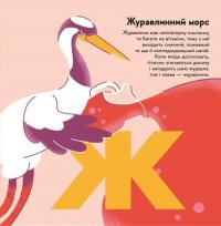 Книжечка-мандрівочка. Смачненько — Ірина Тараненко,Марта Лешак,Марія Воробйова,Тарас Маселко,Юрій Кошик #16