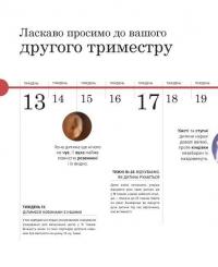 Вагітність день за днем — Меггі Блотт #9
