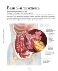 Вагітність день за днем — Меггі Блотт #15