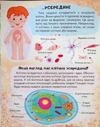 Енциклопедія. Тіло людини — Ганна Логвінкова #6