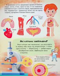 Енциклопедія. Тіло людини — Ганна Логвінкова #7