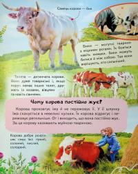 Енциклопедія Ферма — Ганна Логвінкова #6