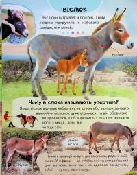 Енциклопедія Ферма — Ганна Логвінкова #7