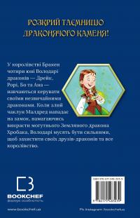 Володарі драконів. Книга 4. Сила вогняного дракона — Трейсі Уест #2