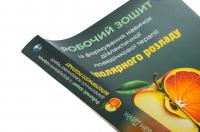 Робочий зошит із формування навичок діалектичної поведінкової терапії біполярного розладу — Шері ван Дейк #4