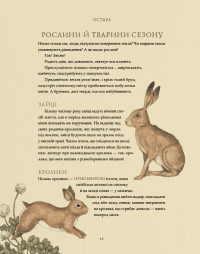 Колесо року. Ілюстрований путівник ритмами природи — Джессіка Ру,Фіона Кук #6