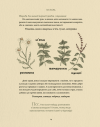 Колесо року. Ілюстрований путівник ритмами природи — Джессіка Ру,Фіона Кук #8