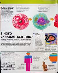 Енциклопедія знань. Тіло людини — Пітер Крісп,Стів Хоффман #7