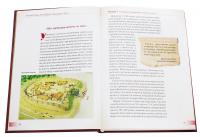 Українська розвідка. Прадавні часи — Олександр Скрипник #4