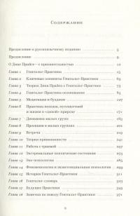 Руководство по гештальт-терапии в традициях Дика Прайса #3
