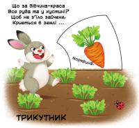 Фігури та форми. Перша книжка з рухомими елементами #6