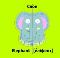 Веселі крутилки. Дикі тварини #12