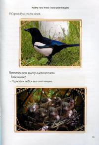 Казкова розмовляночка за малюнками. Посібник для роботи з дітьми 4 року життя — Любомира Калуська,Оксана Чекан #11