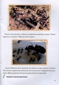 Казкова розмовляночка за малюнками. Посібник для роботи з дітьми 5 року життя — Любомира Калуська,Оксана Чекан #10