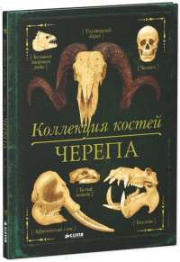 Коллекция костей. Черепа — Камилла де ла Бедуайер