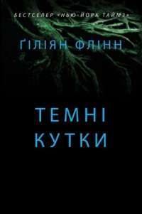 Темні кутки — Гиллиан Флинн #1