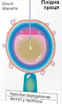 Книга Плідна праця. Хроніки зародження життя у пробірці — Ольга Малюта #1