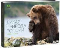 Дикая природа России / Wildlife in Russia — Валерий Малеев