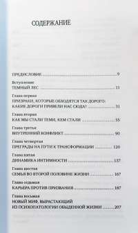 Обретение смысла во второй половине жизни: Как наконец стать по-настоящему взрослым. Finding Meaning in the Second Half of Life. How to finally, really grow up — Джеймс Холлис #3