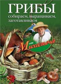 Грибы. Собираем, выращиваем, заготавливаем — Н. Звонарев
