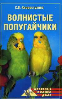 Волнистые попугайчики — Светлана Хворостухина