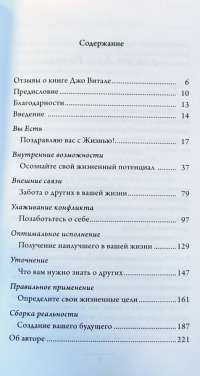 Руководство к жизни, которое вам забыли выдать при рождении — Джо Витале #4