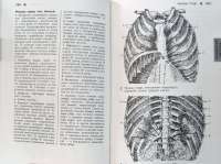 Справочный атлас анатомии человека — Р. П. Самусев #2