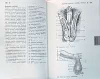 Справочный атлас анатомии человека — Р. П. Самусев #3