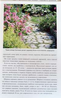 Садовые дорожки — Т. Д. Шиканян #3