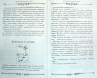 Большая книга аппликаций из природных материалов — Н. В. Дубровская #2