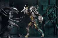 Alien vs Predator - Series 15 Temple Guard Predator Action Figure #8